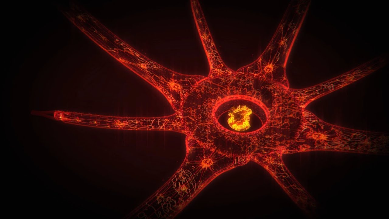 Circle - HD Wallpaper 