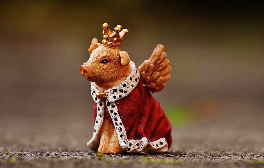 Shallow Focus Photography Of Pig Figurine, Lucky Pig, - Pig In A Crown - HD Wallpaper 