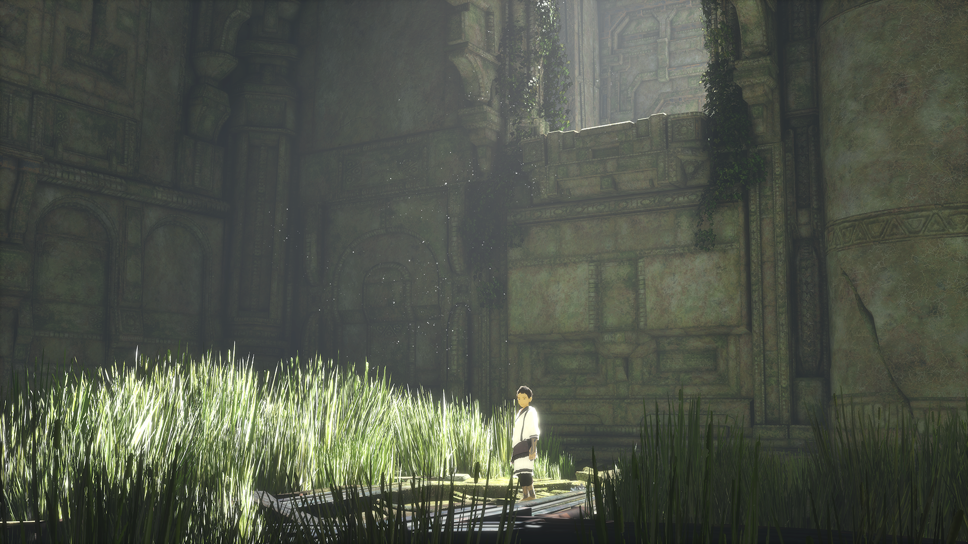 Last Guardian Game Background - HD Wallpaper 