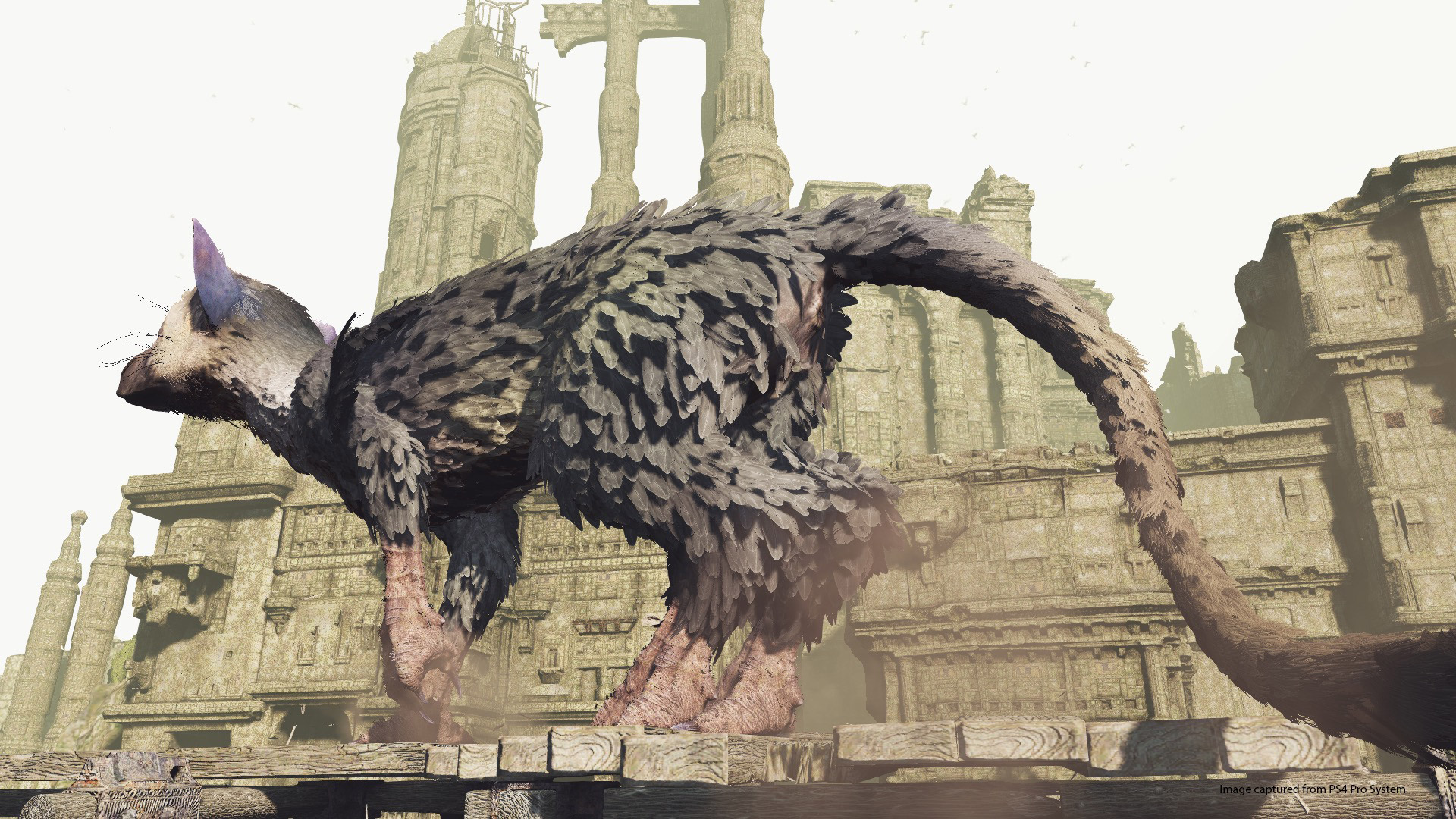 Last Guardian Vr - HD Wallpaper 