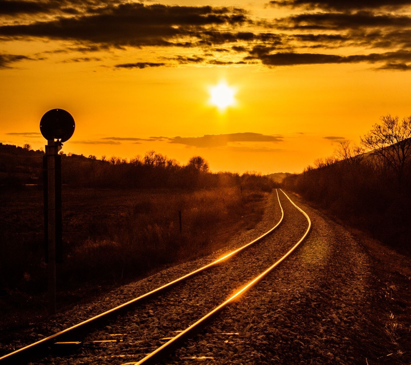 Wallpaper - HD Wallpaper 