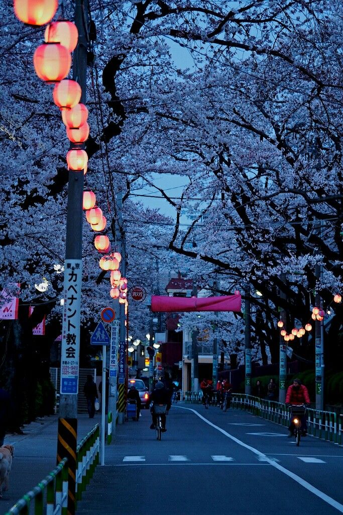 Chill Japan - HD Wallpaper 