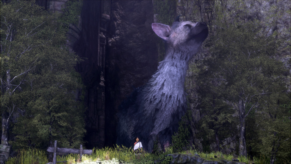 The Last Guardian Review - Funny Shadow Of The Colossus - HD Wallpaper 