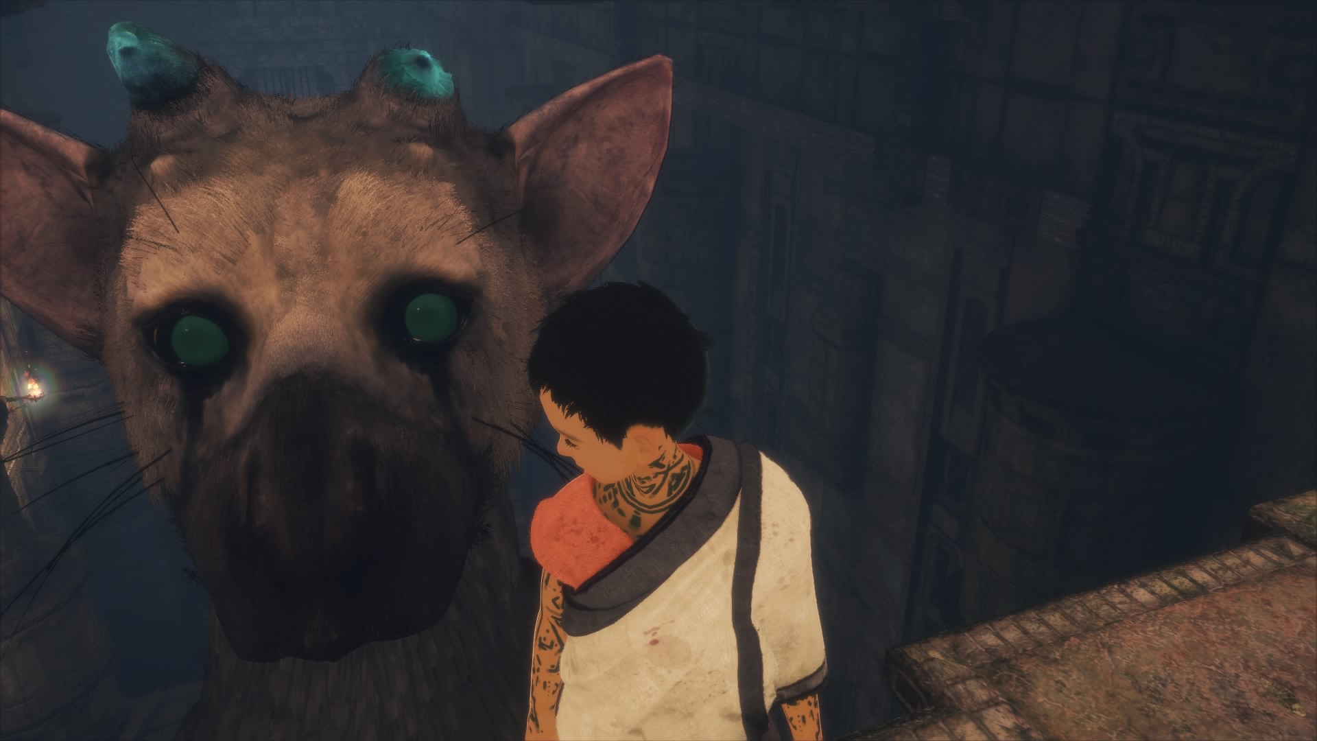 Last Guardian Trico Eyes - HD Wallpaper 