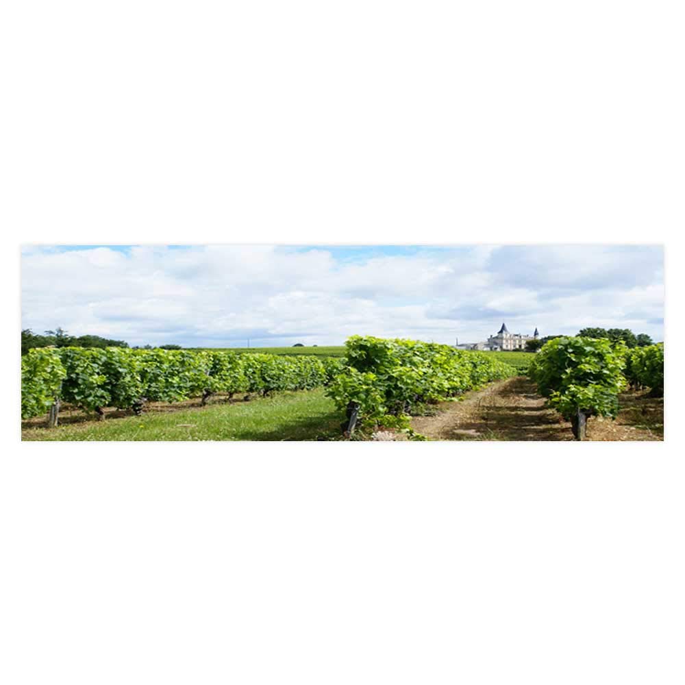 Field - HD Wallpaper 