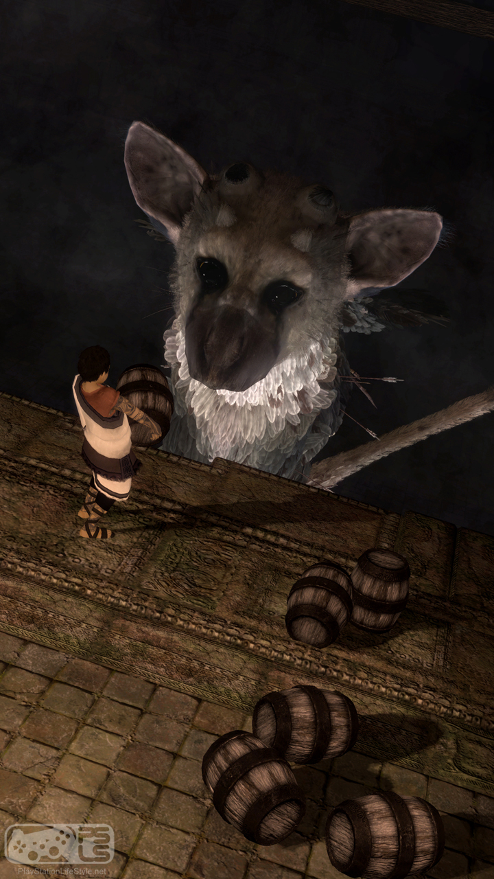 Trico The Last Guardian Iphone - HD Wallpaper 