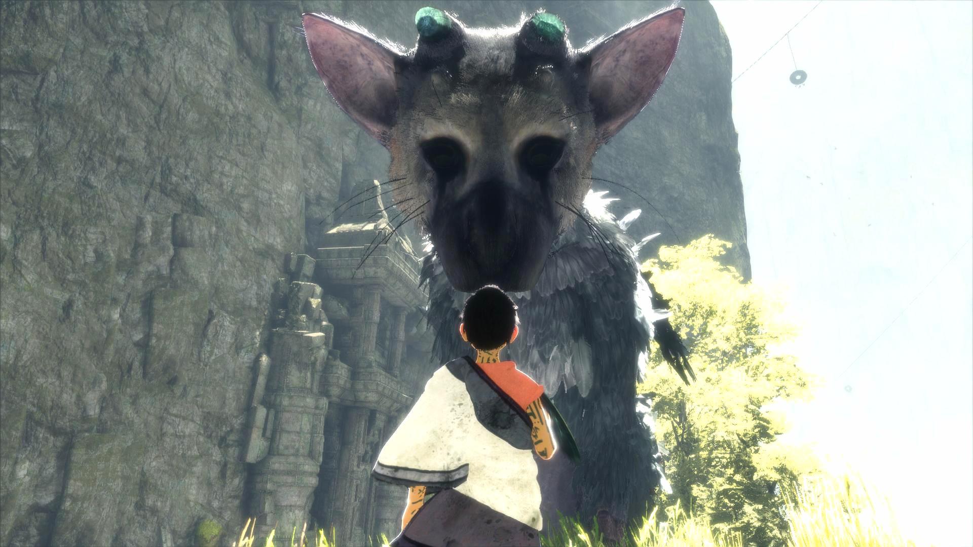 German Shepherd Dog - HD Wallpaper 