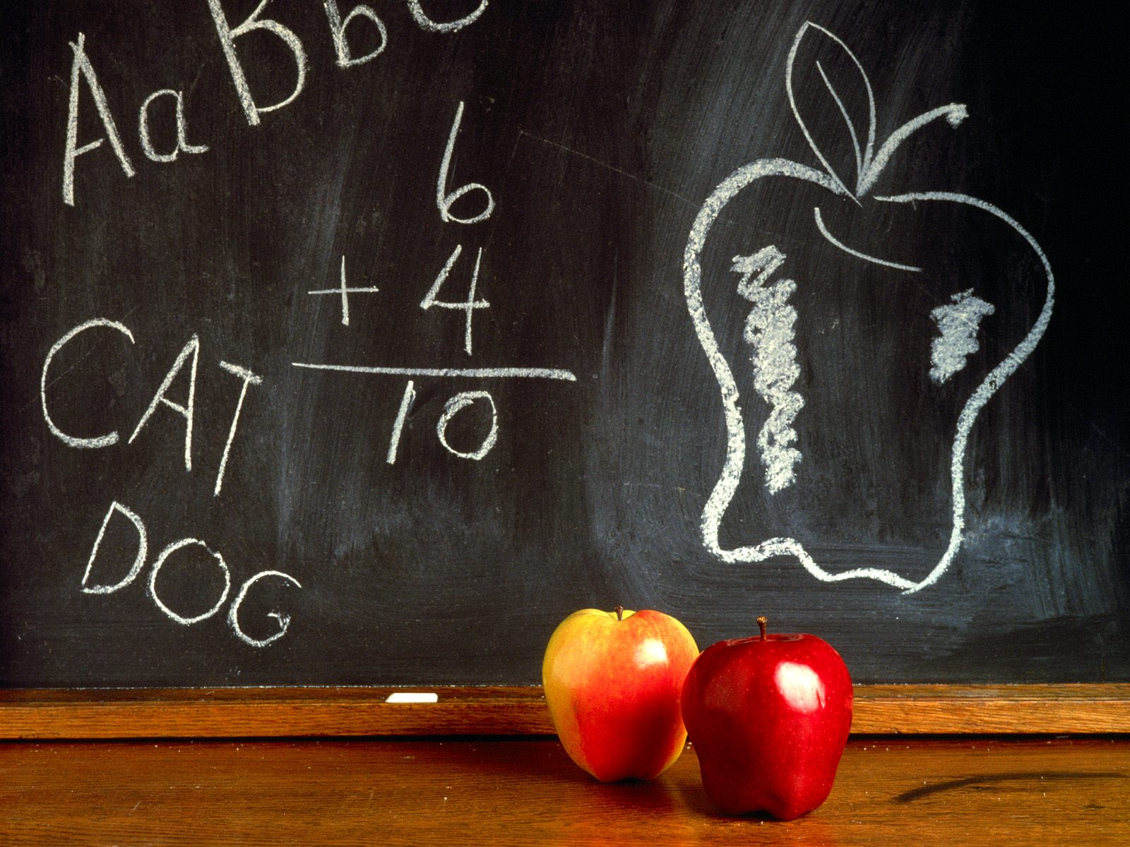 Back To School Wallpaper Free Download - Back To School Desktop Backgrounds - HD Wallpaper 