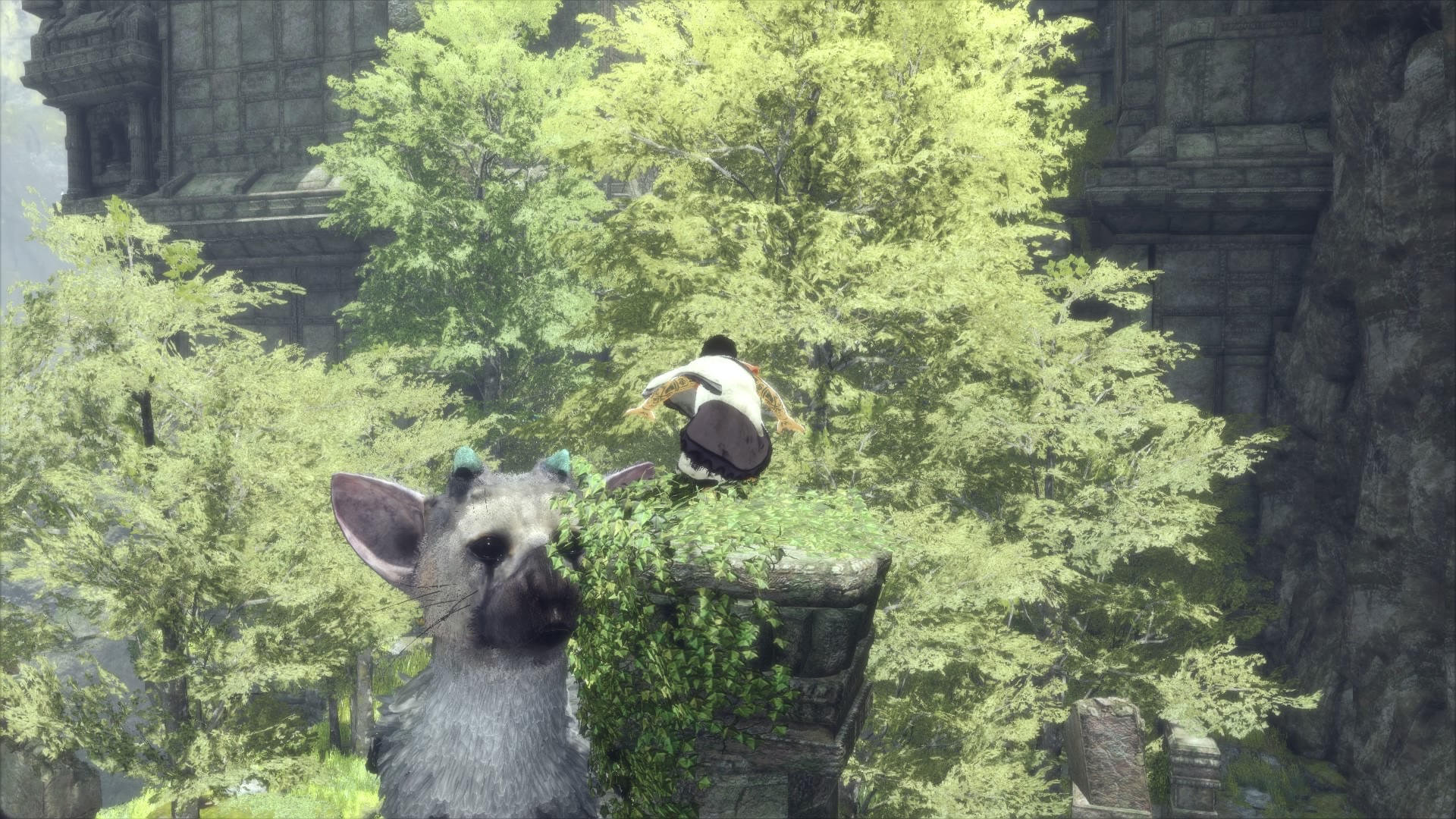 Scottish Terrier - HD Wallpaper 