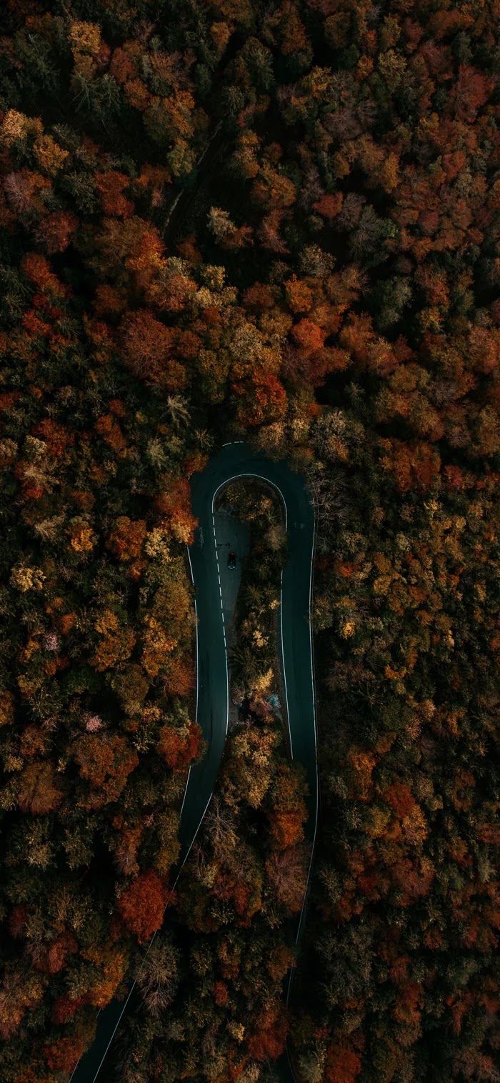 Wallpaper - HD Wallpaper 