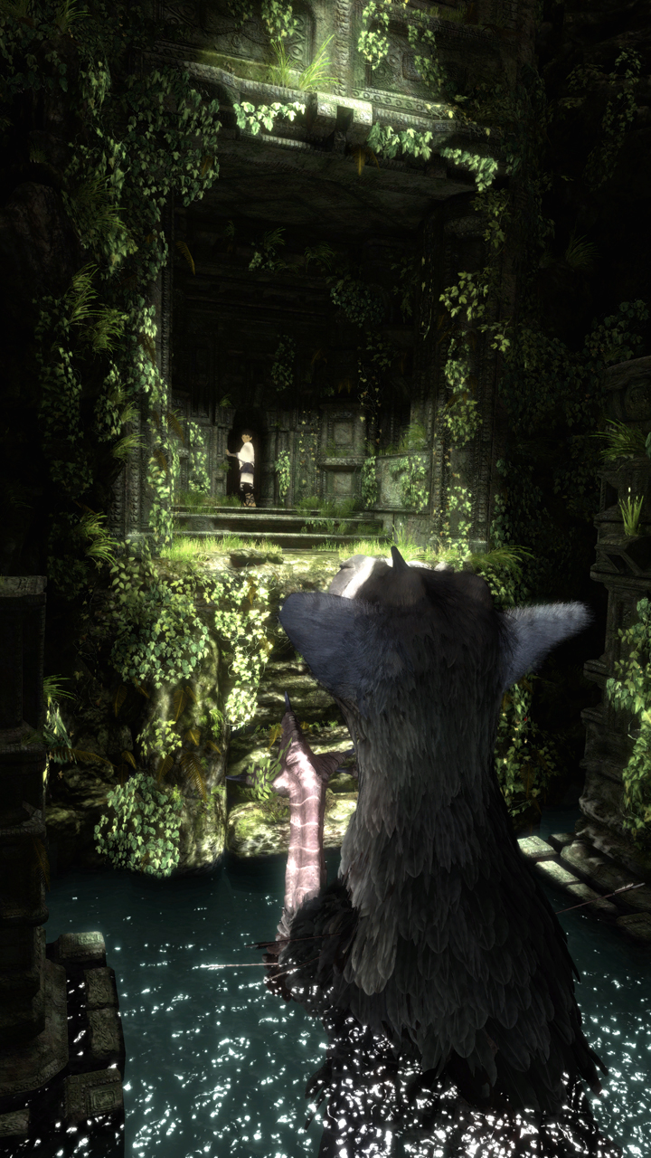 Last Guardian Phone Background - HD Wallpaper 
