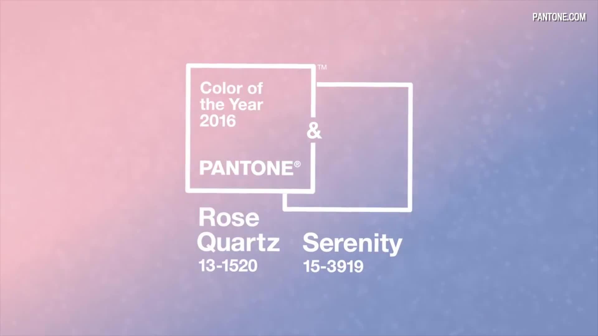 Top Designer Colour For - Colour Of The Year Pink Pantone - HD Wallpaper 