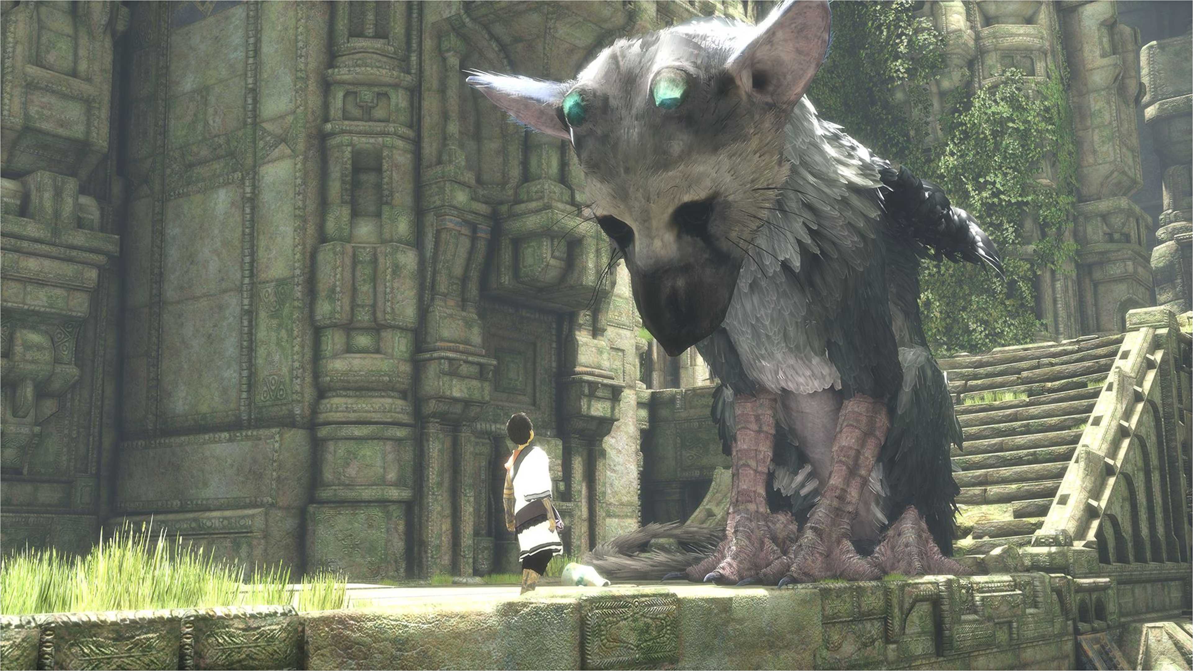 Trico Game - HD Wallpaper 