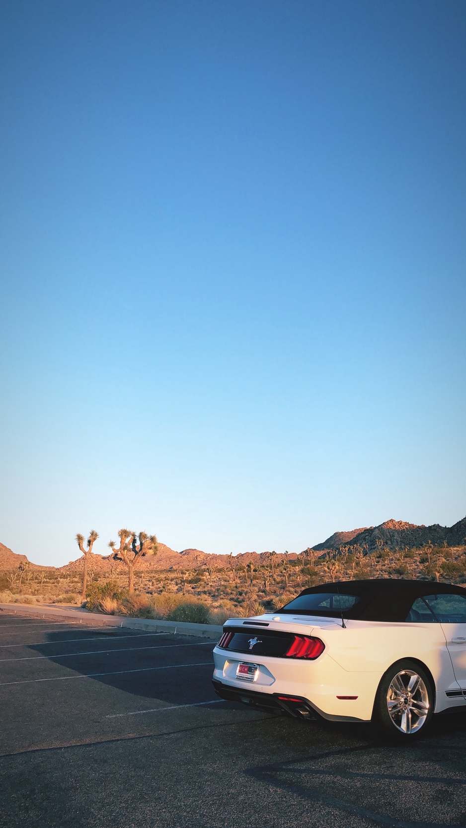 Wallpaper Ford Mustang, Car, Desert, Rear Bumper, Travel - Car Travel Wallpaper Hd - HD Wallpaper 