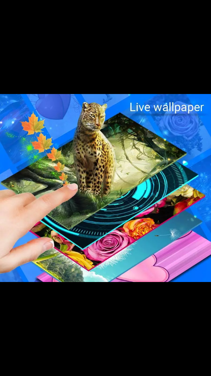Google Now Launcher Apk - Domestic Short-haired Cat - HD Wallpaper 