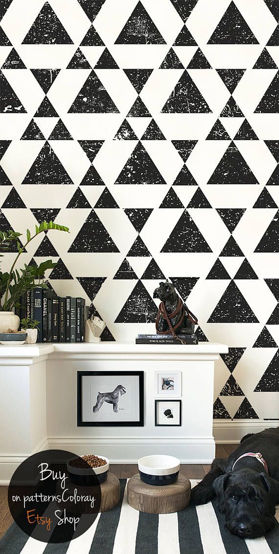 Corner Pet Create - HD Wallpaper 