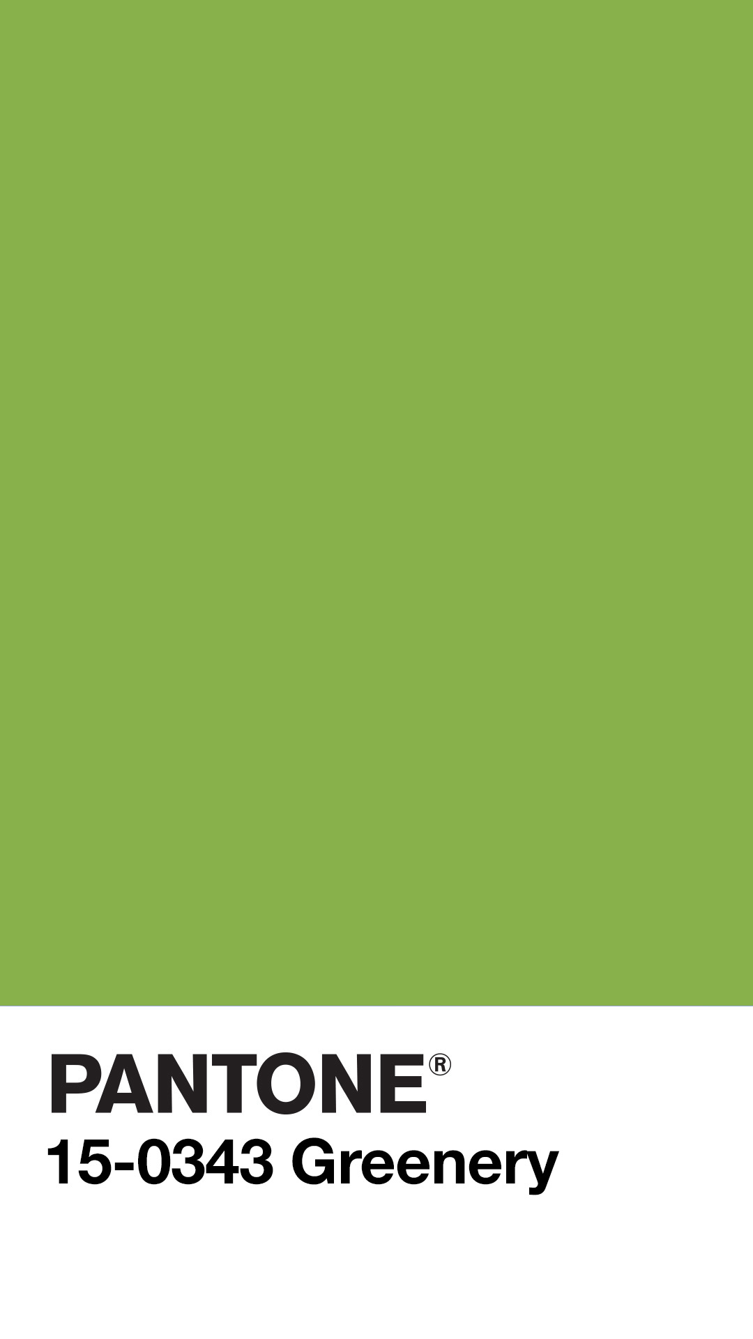 Pantone Color Of The Year 2017 - HD Wallpaper 