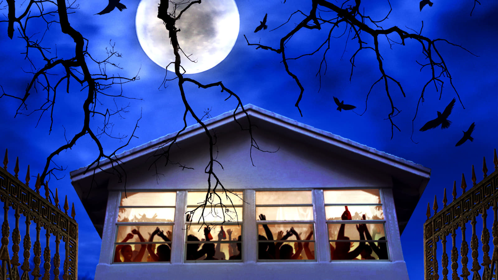 Trico Tribe Happy Halloween - HD Wallpaper 