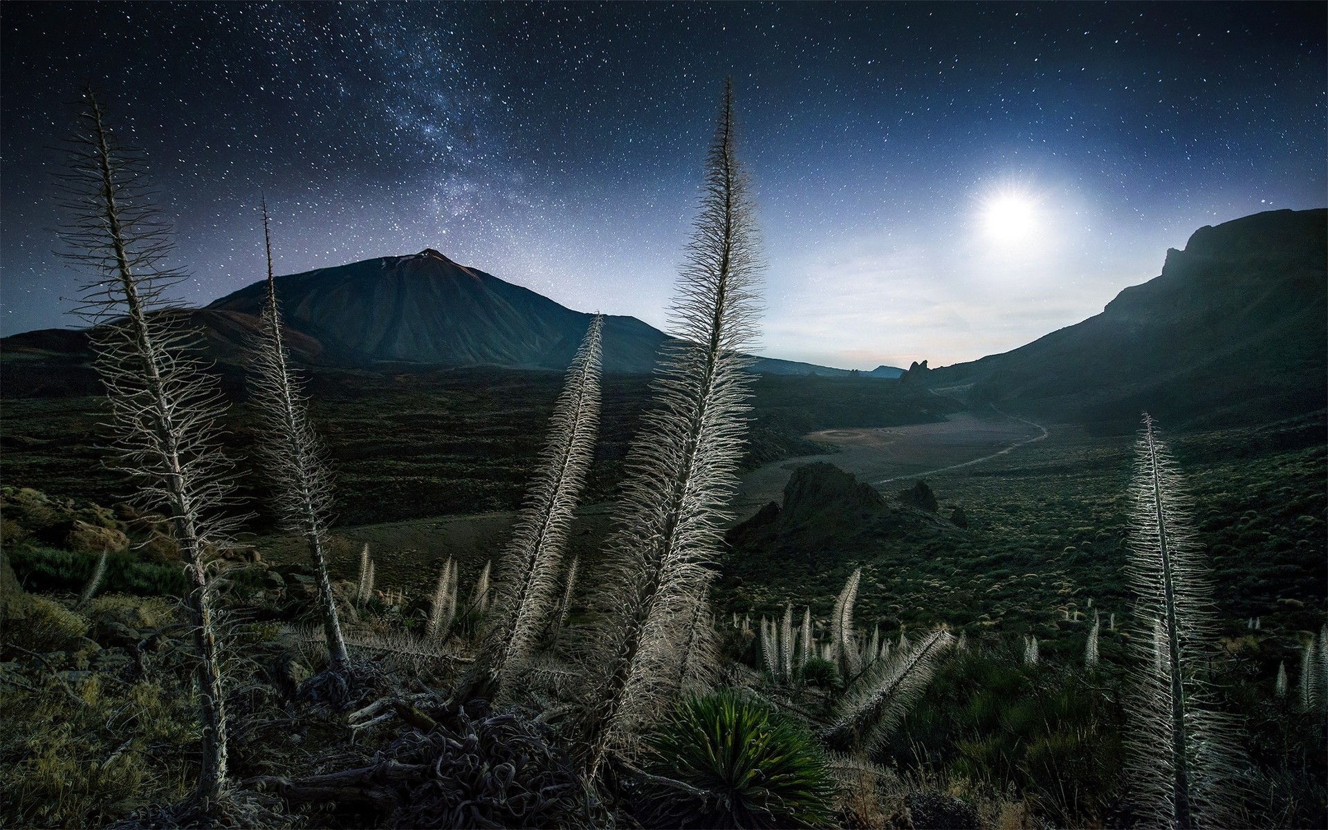 Max Rive Tenerife - HD Wallpaper 