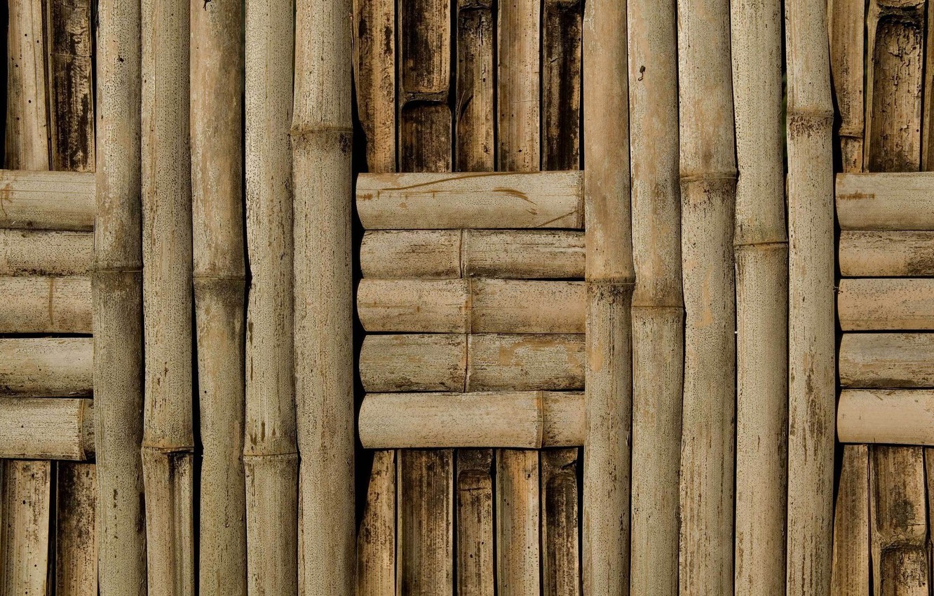Photo Wallpaper Wall, Pattern, Bamboo - Wallpaper - HD Wallpaper 