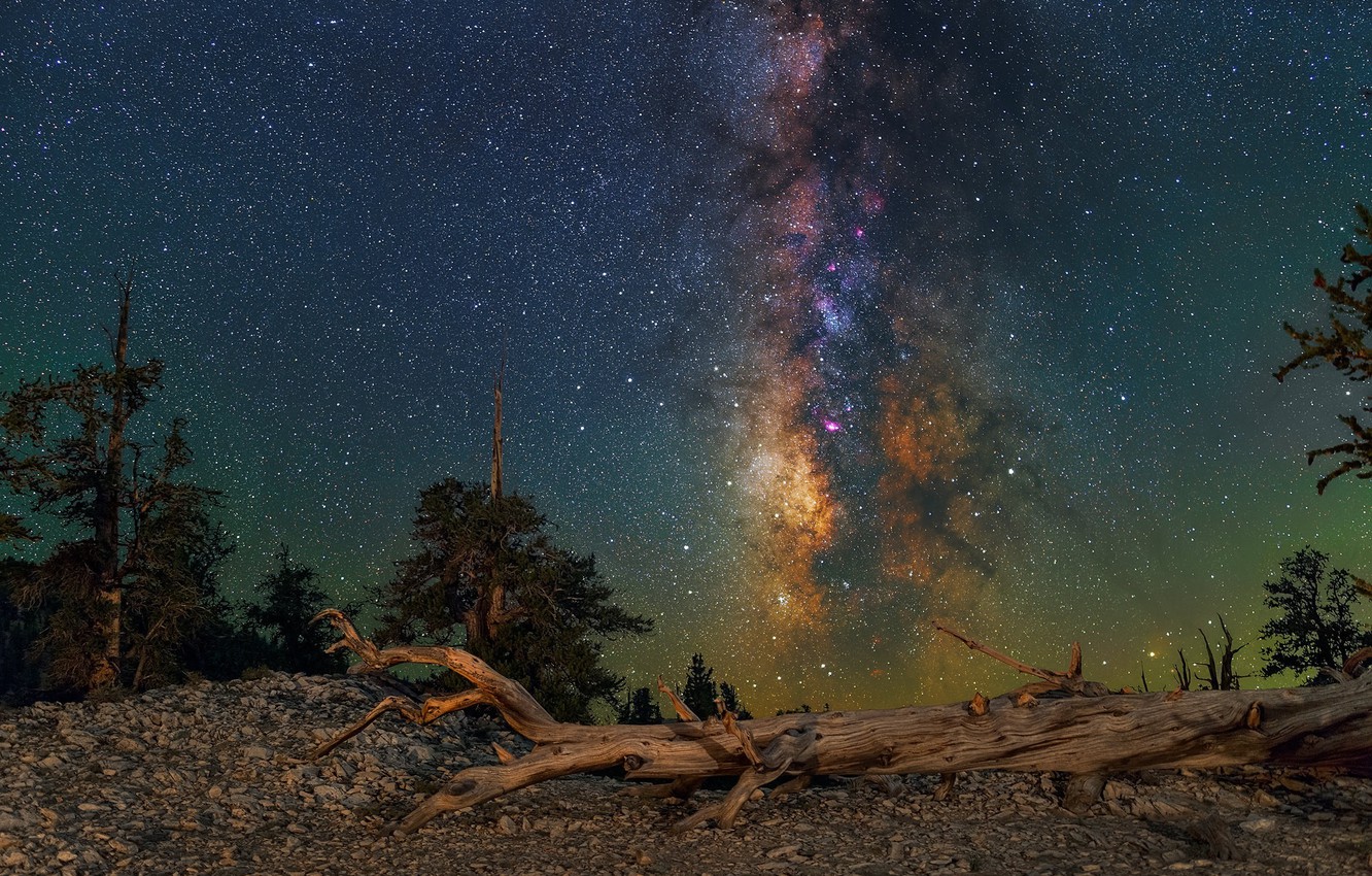 Photo Wallpaper Night, Log, The Milky Way - Milky Way - HD Wallpaper 