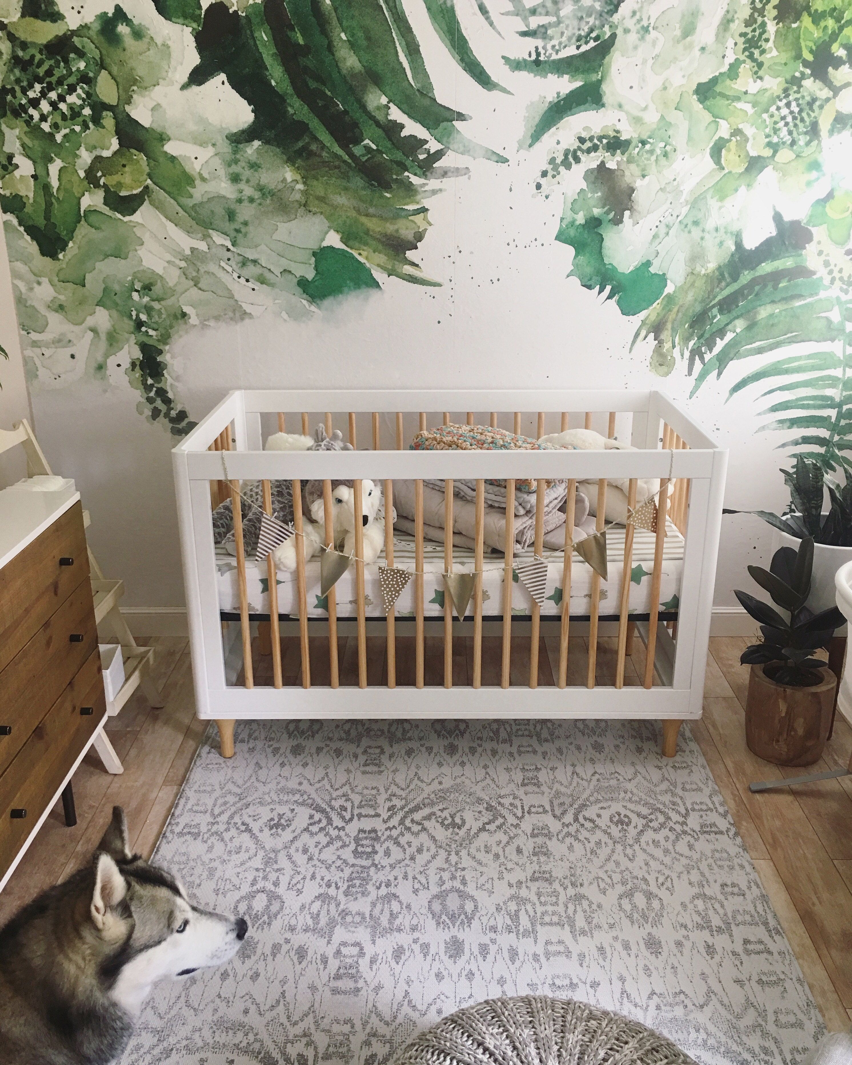 Babyletto Crib In Nursery - HD Wallpaper 