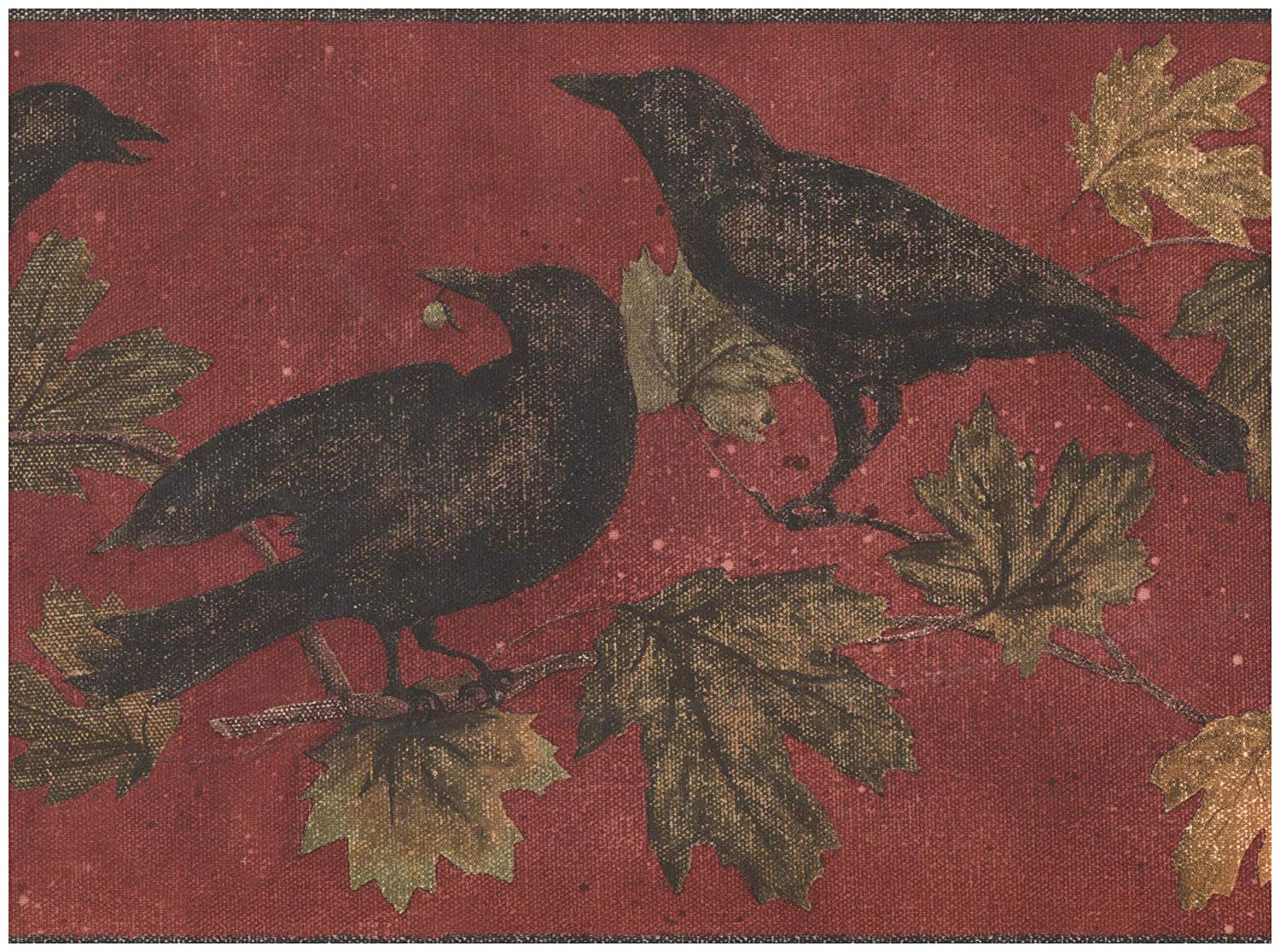 Blackbird - HD Wallpaper 