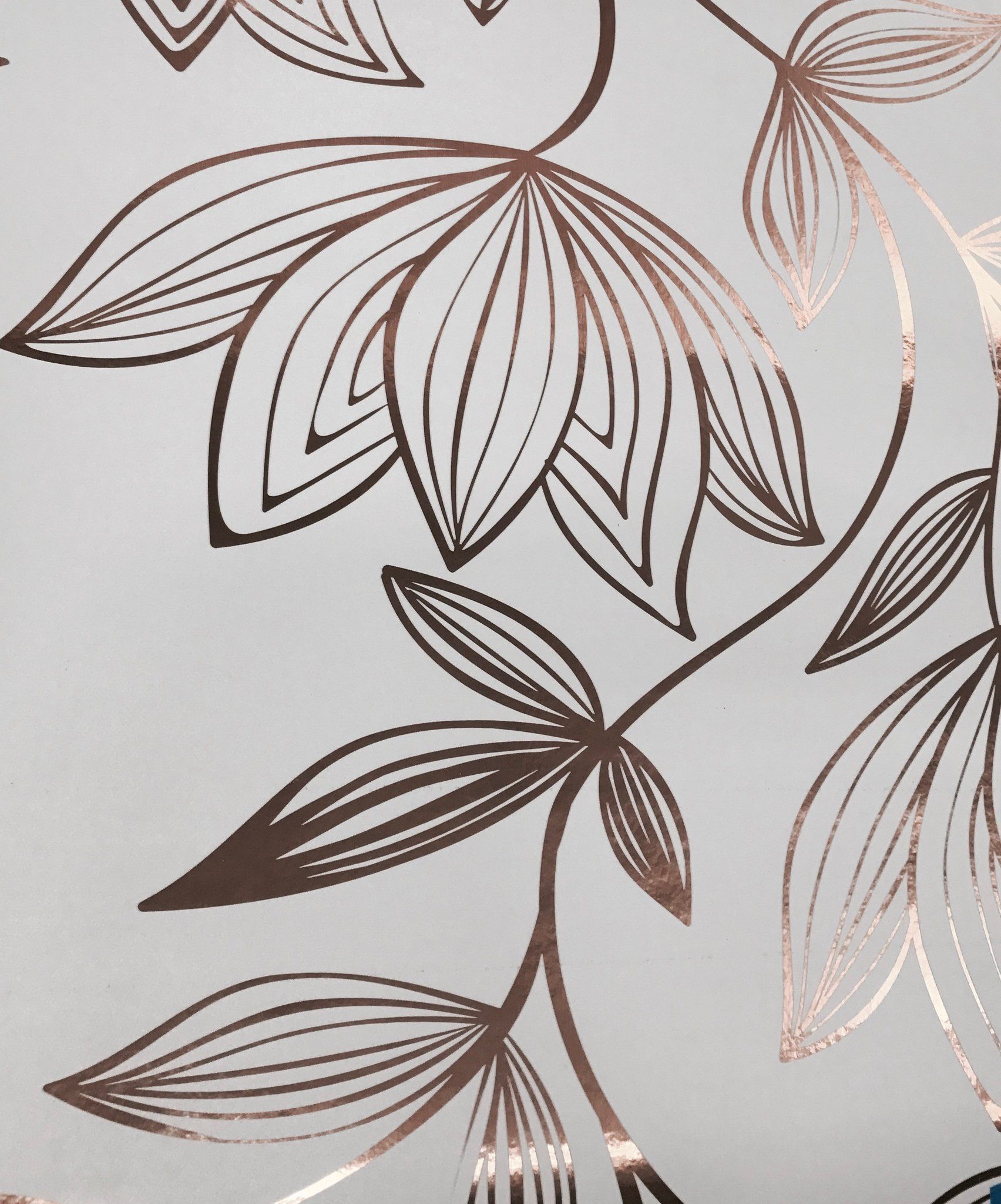 Olivia Poppy Magnolia - HD Wallpaper 