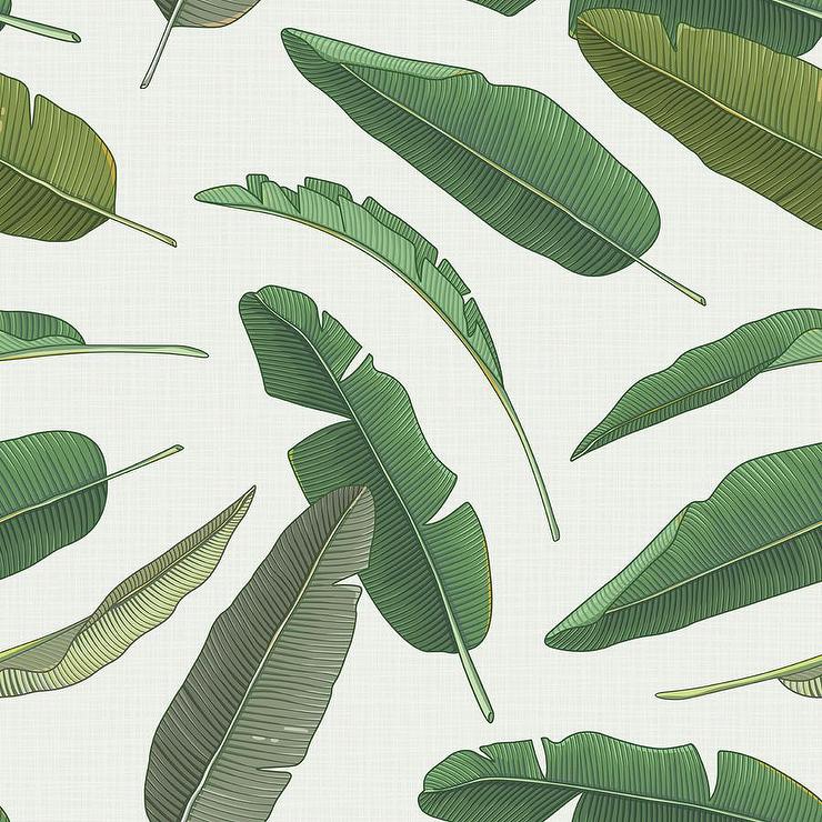 Banana Leaf Pattern - HD Wallpaper 