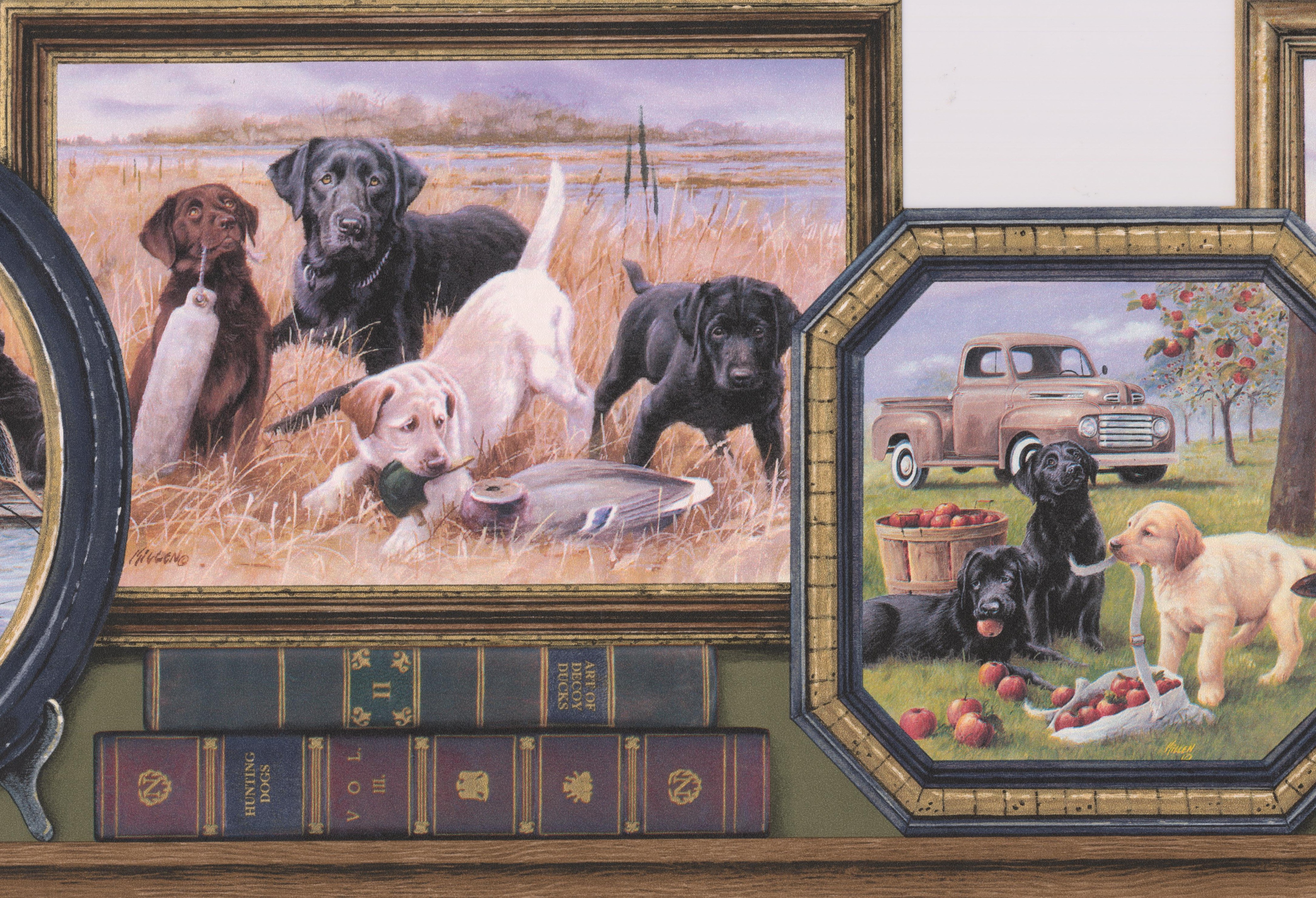 Labrador Retriever - HD Wallpaper 