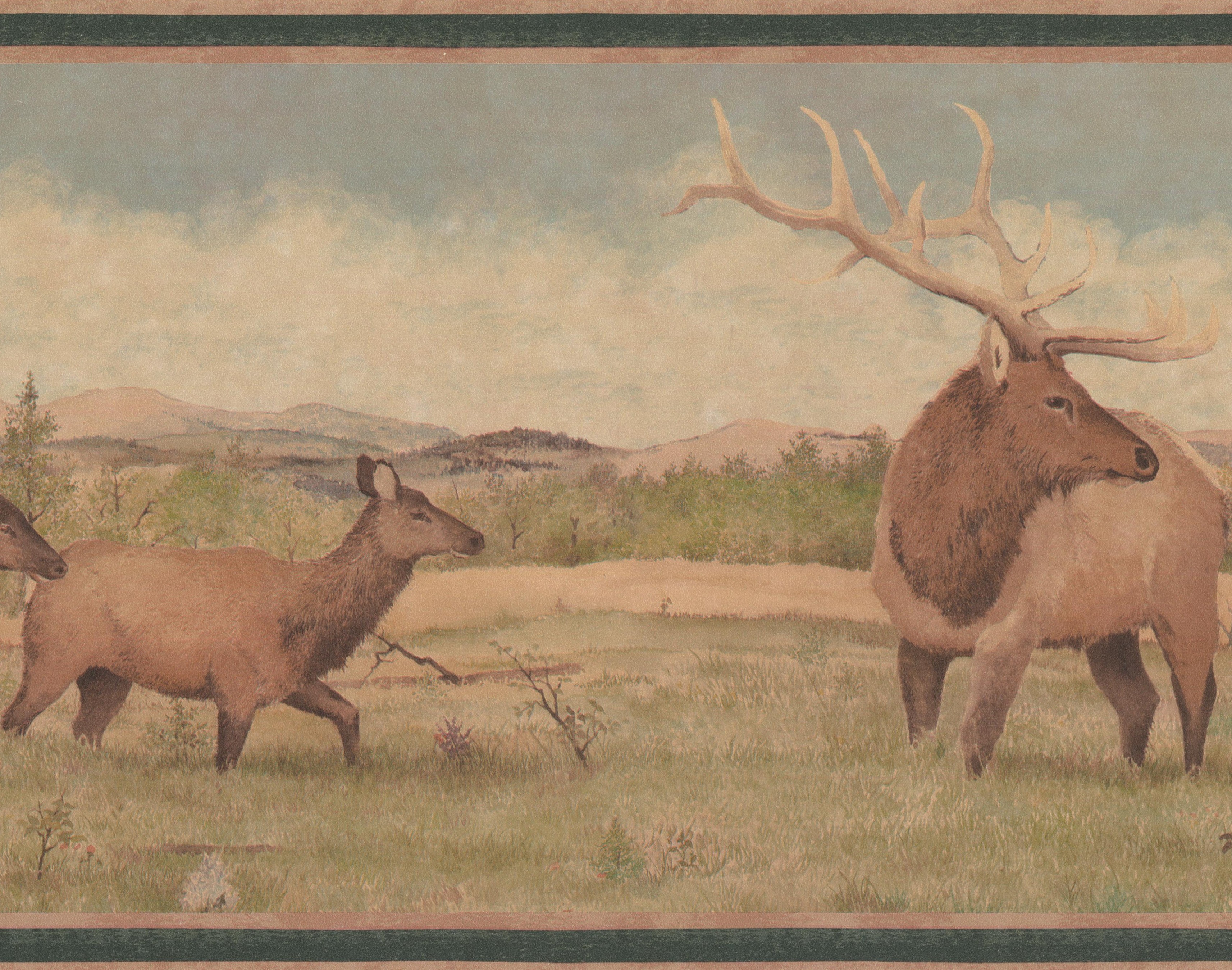 Wallpaper - HD Wallpaper 