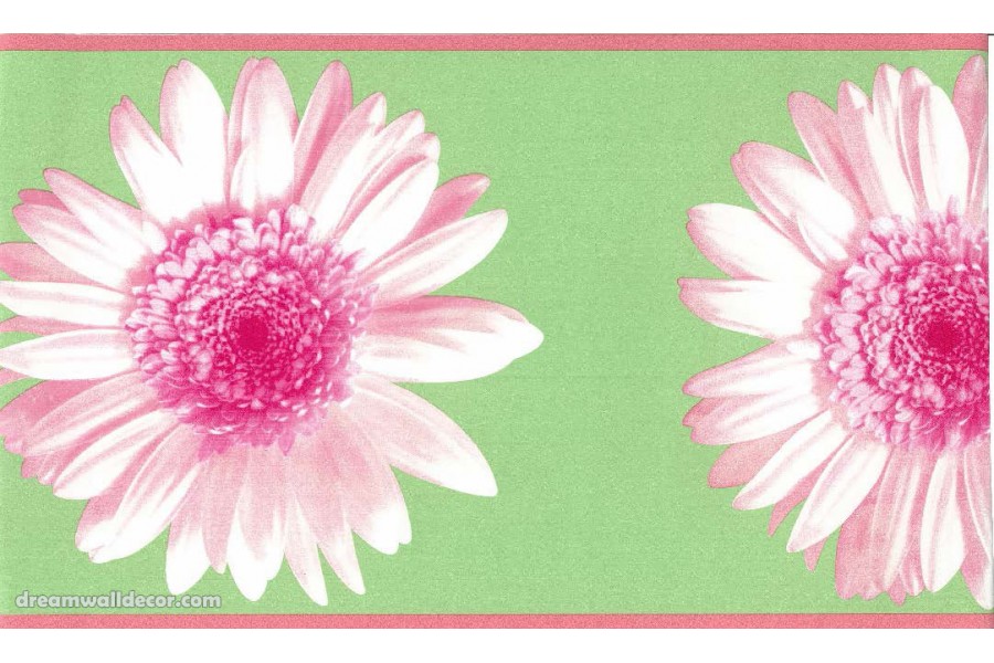 Daisy Border - HD Wallpaper 