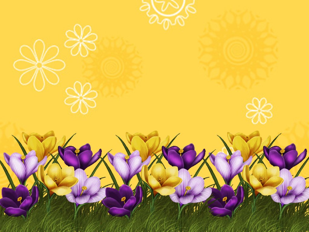 Ppt Background Flower Border - HD Wallpaper 