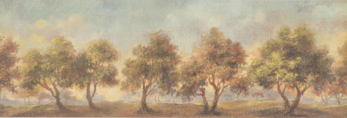 Tree Wallpaper Border - HD Wallpaper 