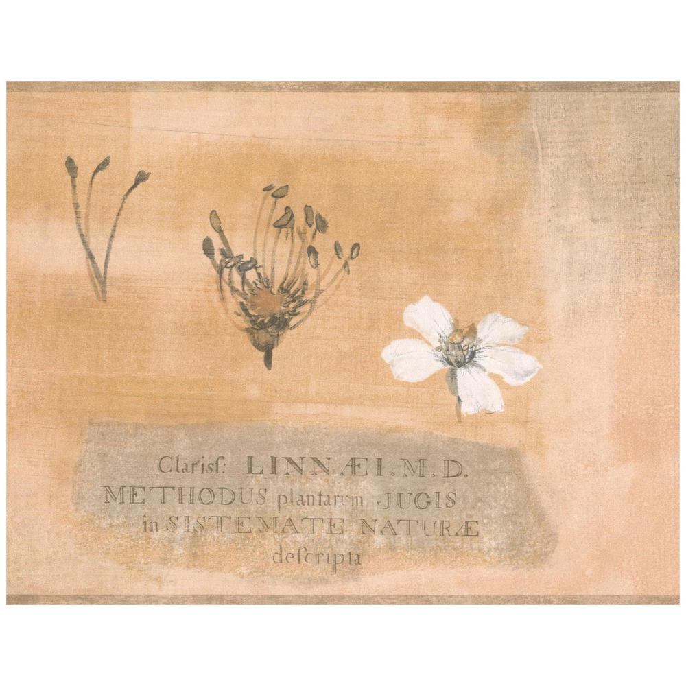 Honeysuckle - HD Wallpaper 