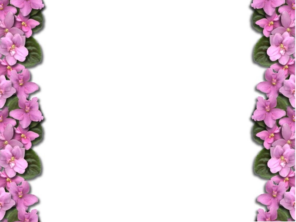 Image Gallery For - Flower Wallpaper Border - HD Wallpaper 
