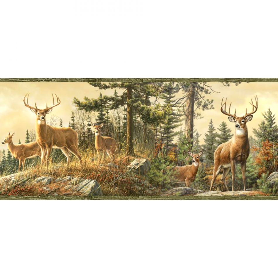 Chesapeake Ashmere Green Whitetail Crest Wallpaper - Deer Border For Walls - HD Wallpaper 