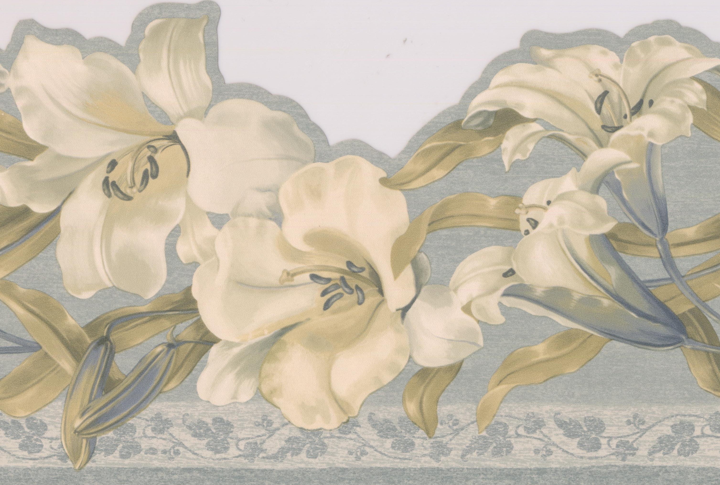 Bloomed White Creme Lily Flowers Floral Wallpaper Border - Lily - HD Wallpaper 