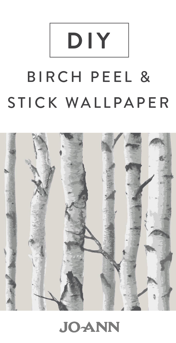 Birch Trees - HD Wallpaper 