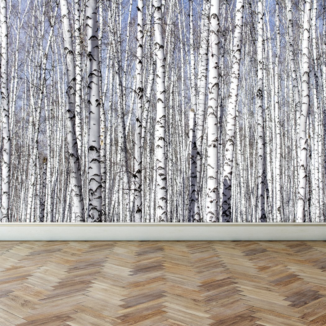 Birch Tree Peel And Stick - HD Wallpaper 