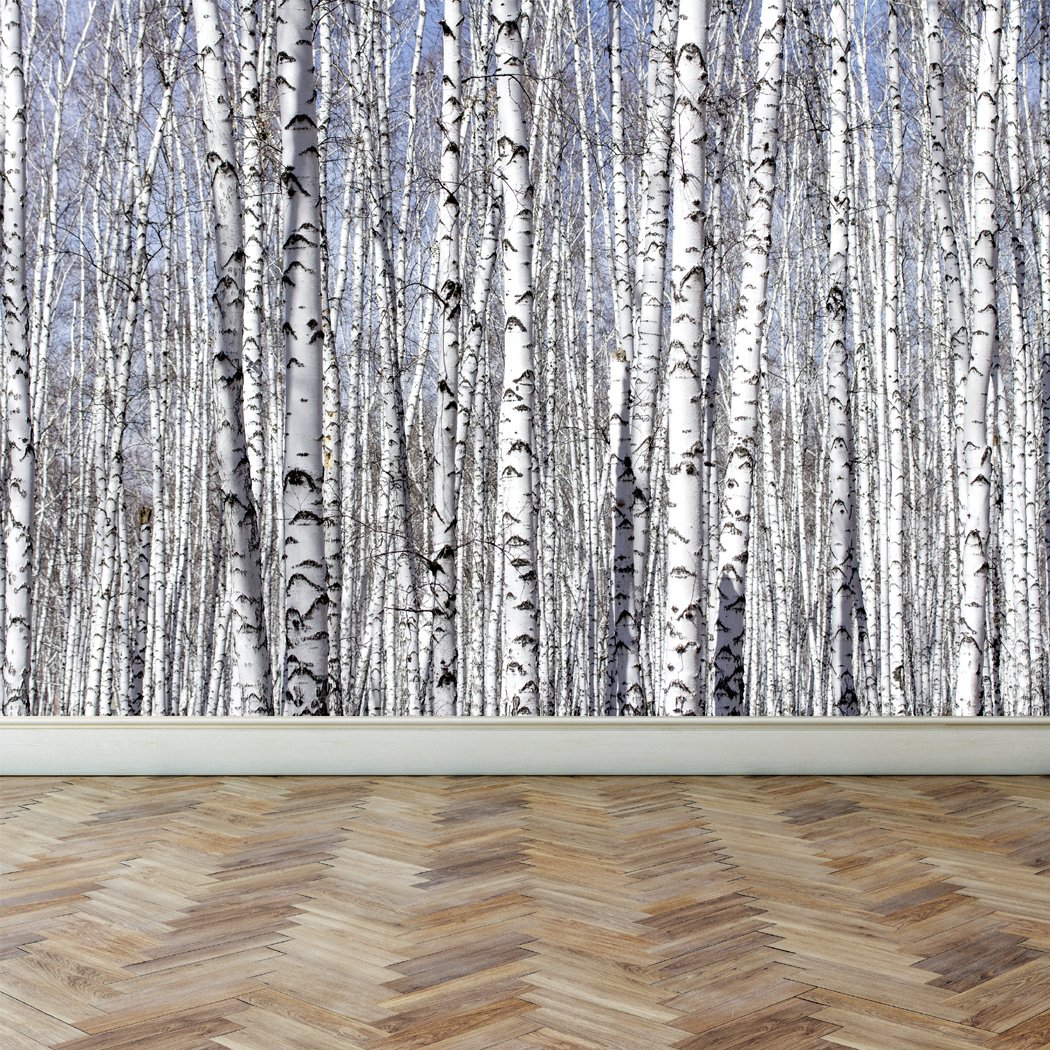 Birch Tree Peel And Stick - 1050x1050 Wallpaper - teahub.io