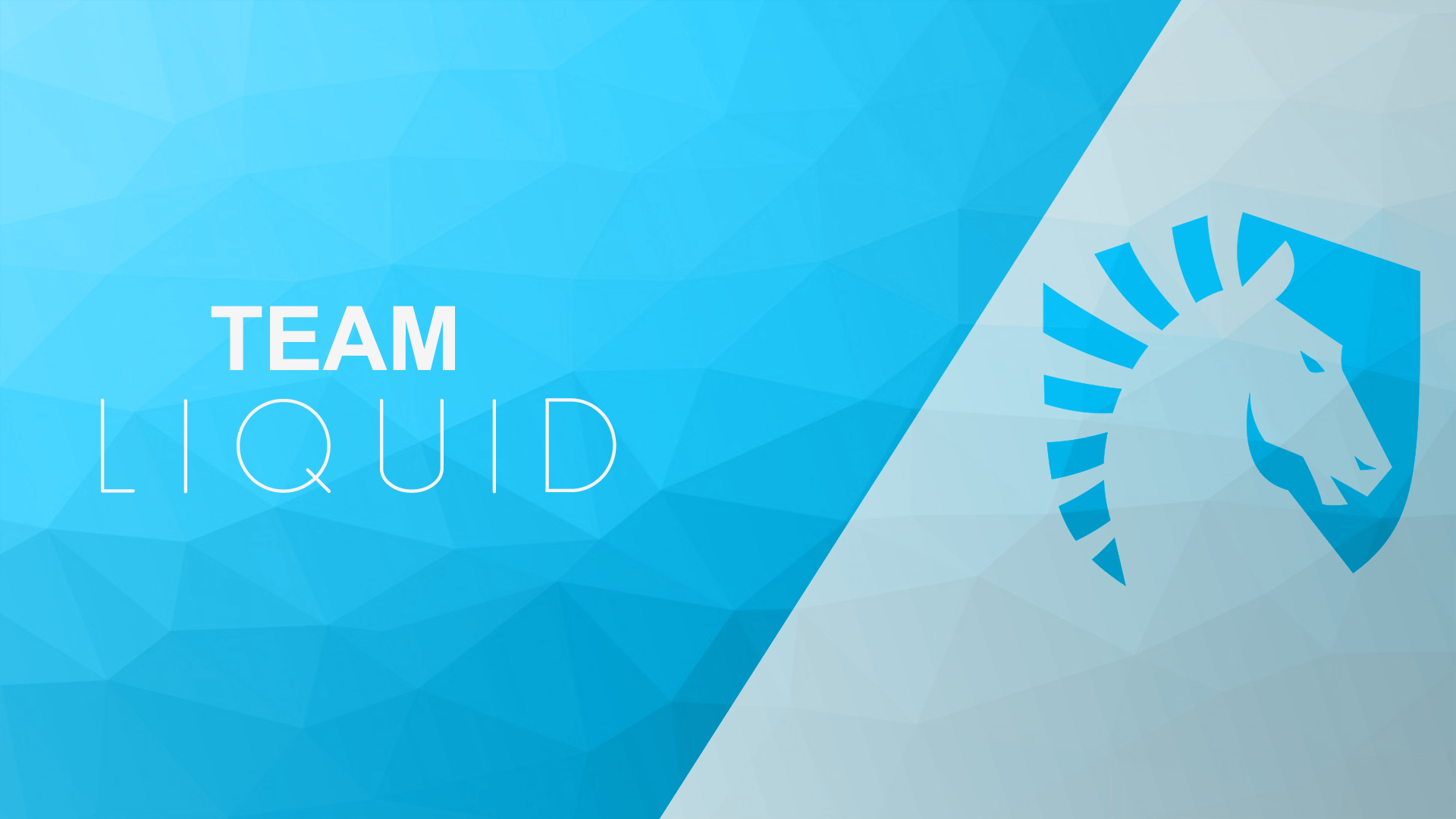Team Liquid Csgo Logo - HD Wallpaper 