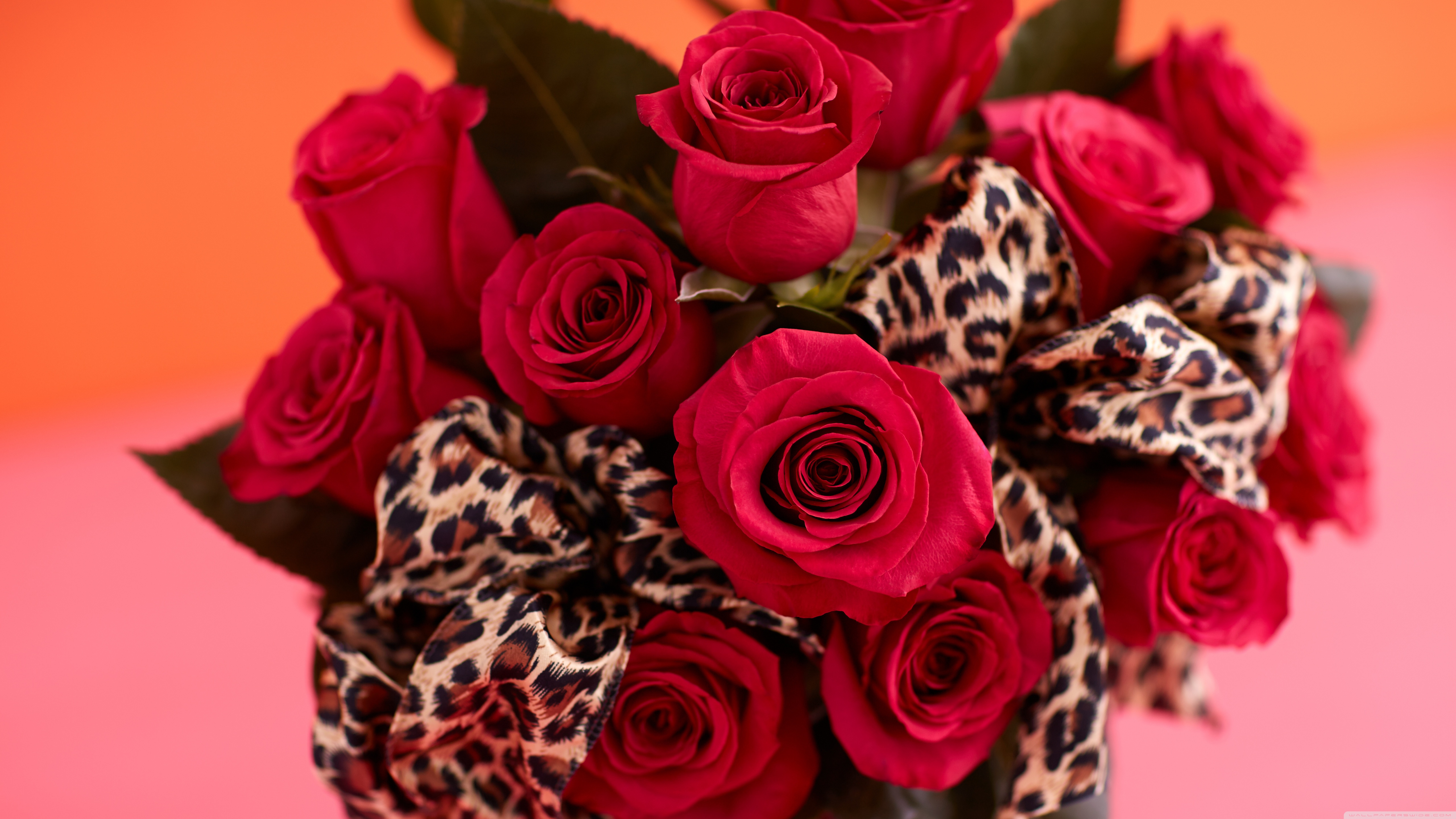 Leopard Print Birthday Bouquet - HD Wallpaper 