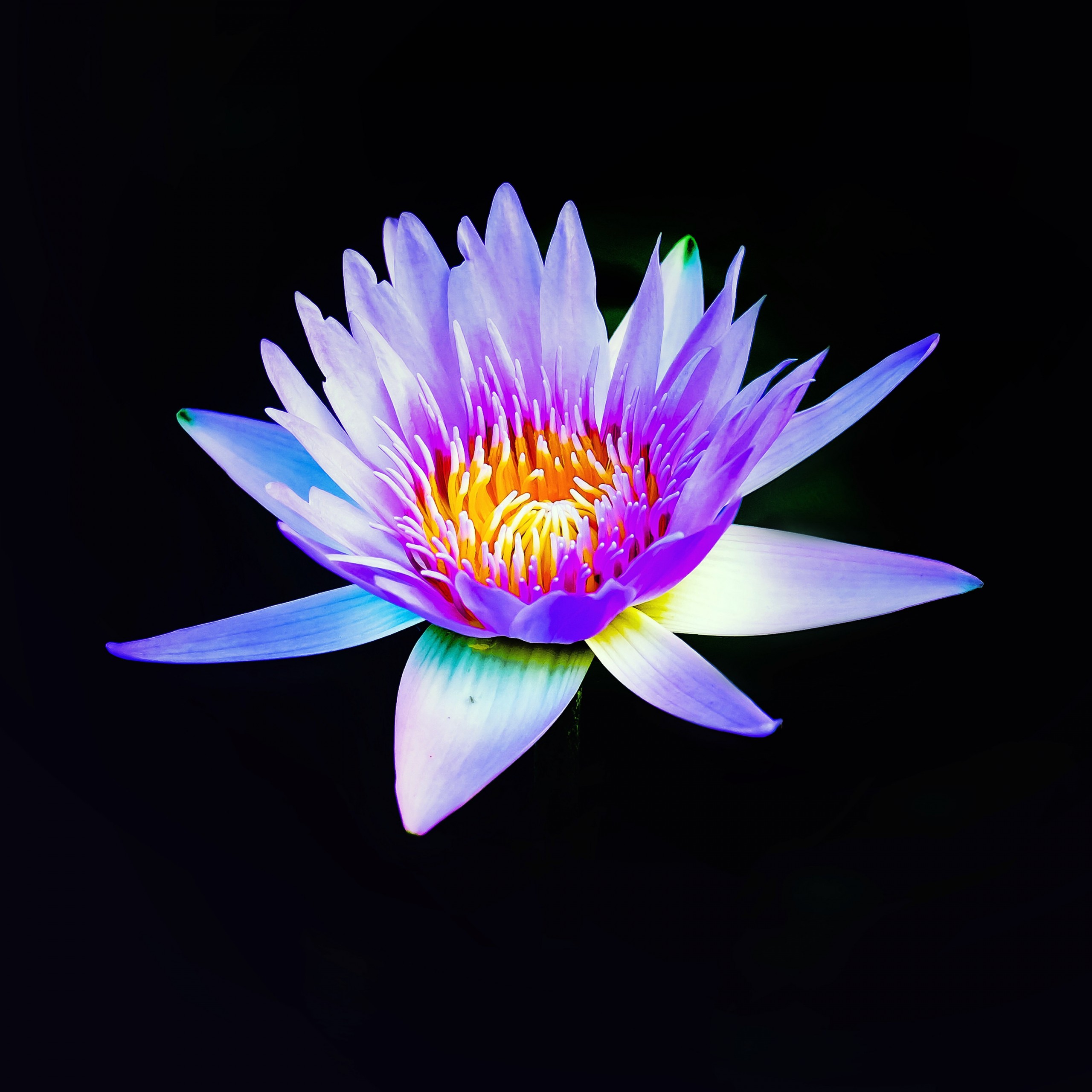 Appreciate Kindness - HD Wallpaper 
