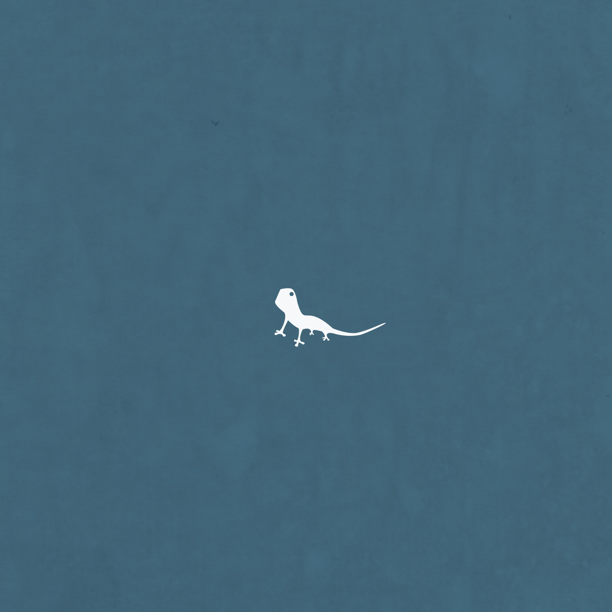 Red Roses - HD Wallpaper 