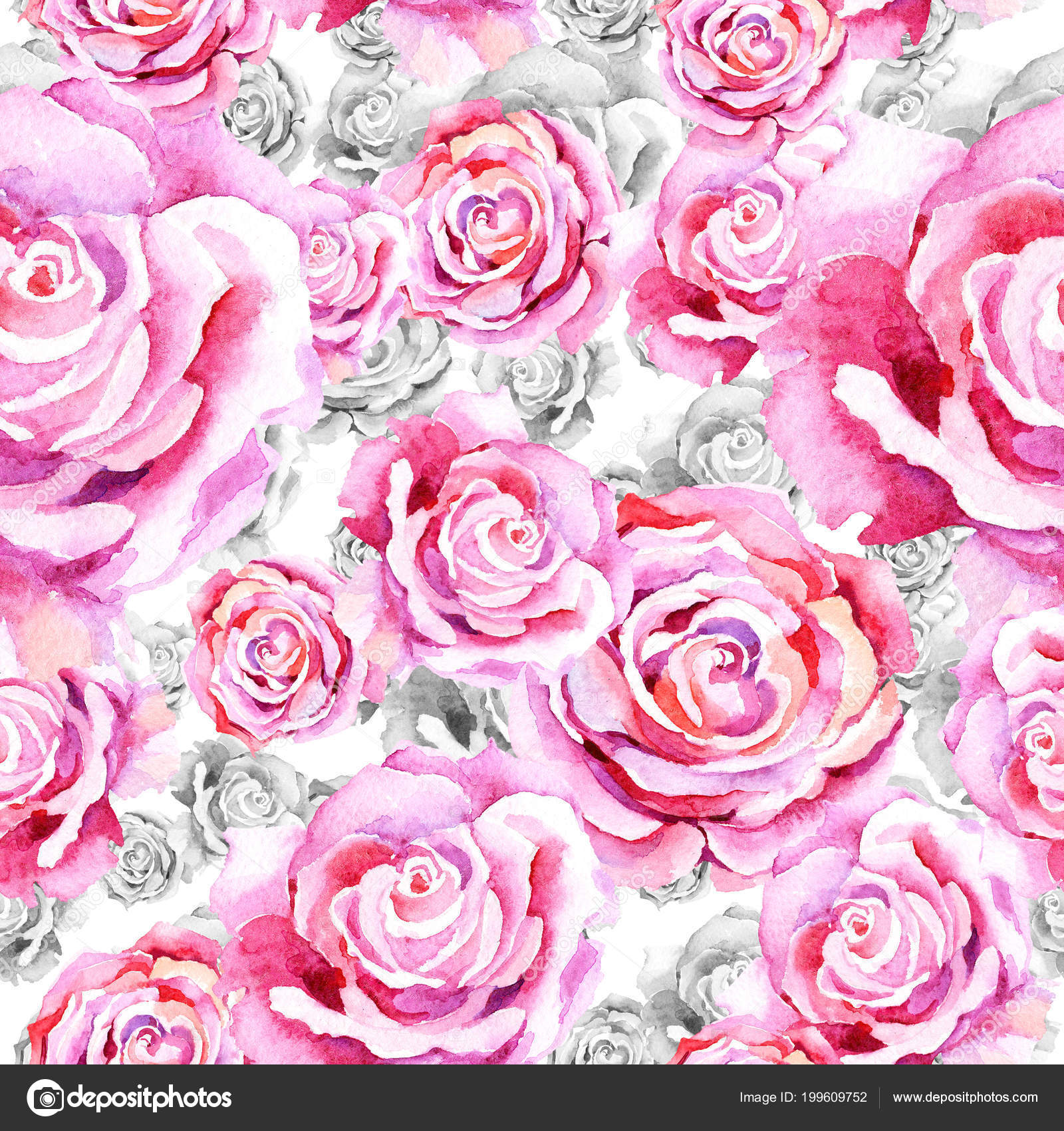 Garden Roses - HD Wallpaper 