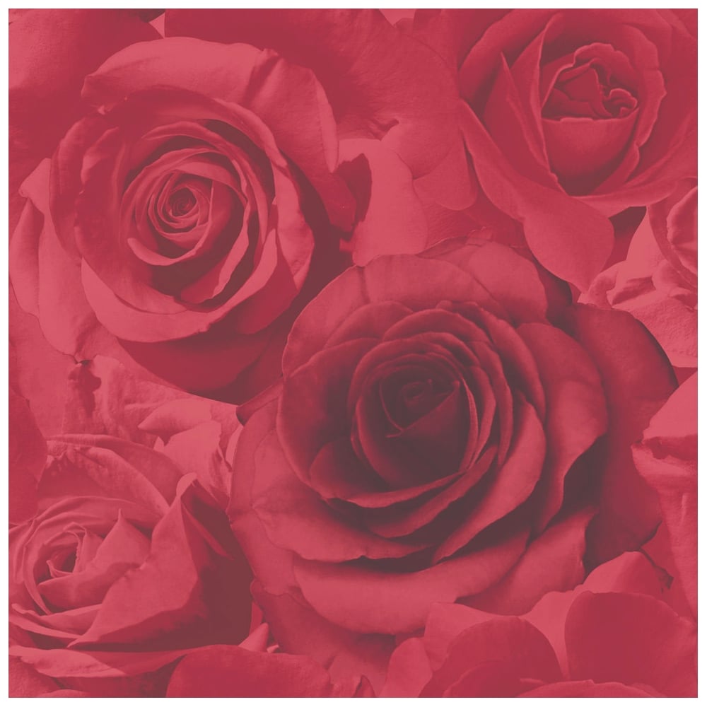 Floribunda - HD Wallpaper 