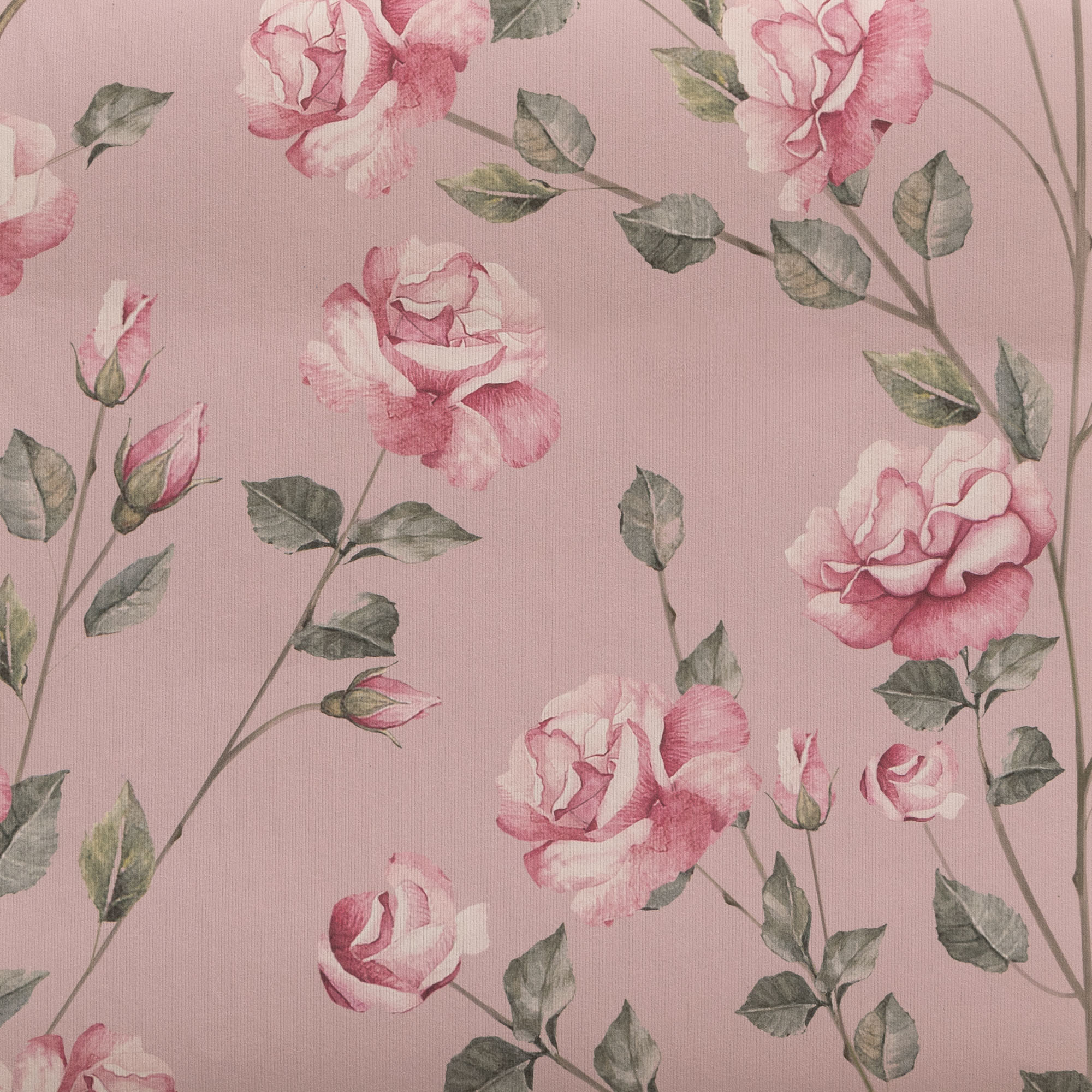 Blush Rose Gardens - Garden Roses - HD Wallpaper 