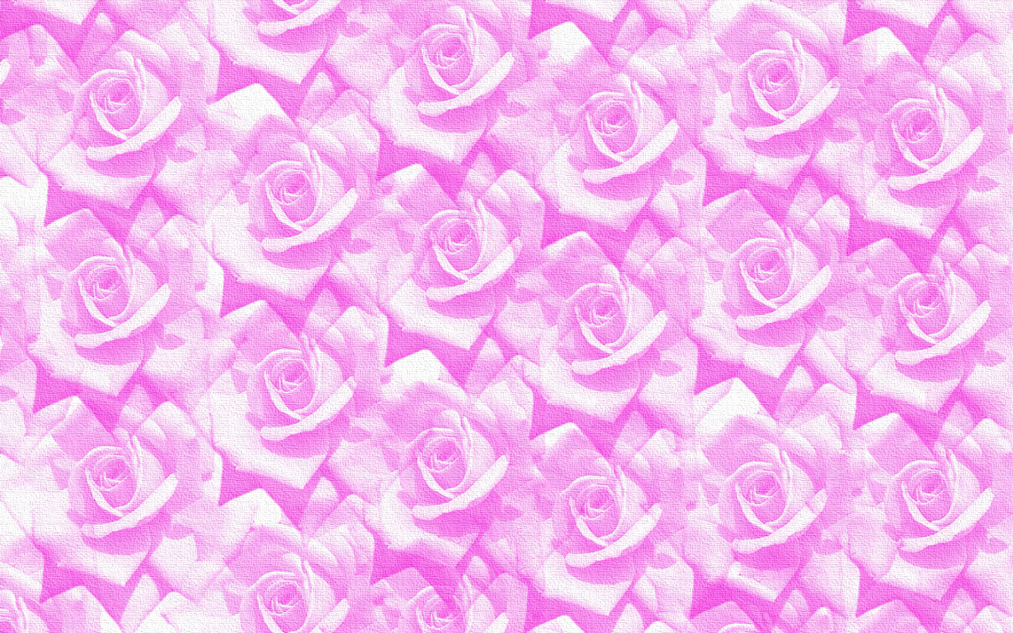 Roses - HD Wallpaper 