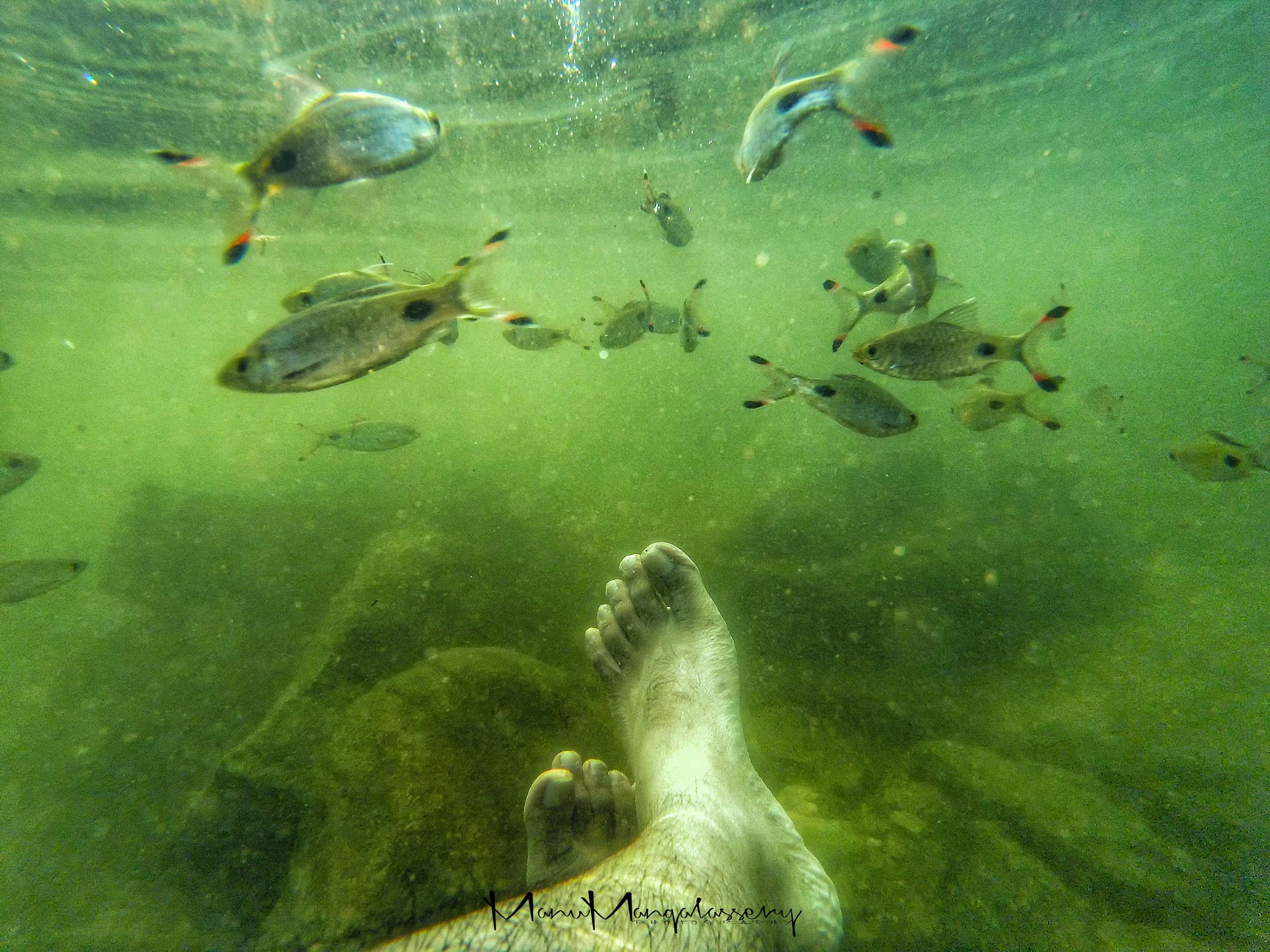 Fondos De Pantalla Hd Agua - HD Wallpaper 